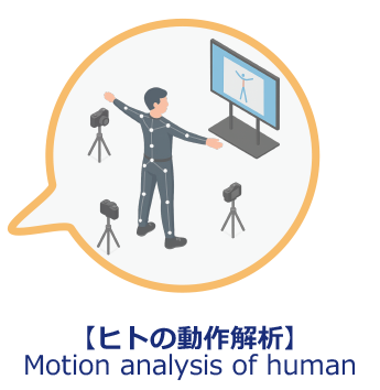 ヒトの動作解析
