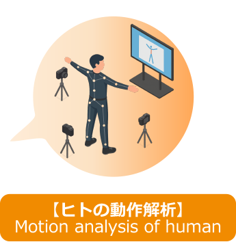 ヒトの動作解析