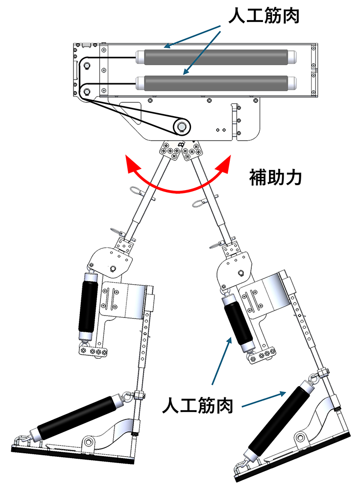 アクティブ歩行機製品